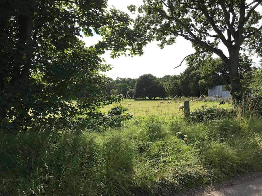 Betty'S Cottage - Traditional Norfolk Farm Cottage Swafield エクステリア 写真