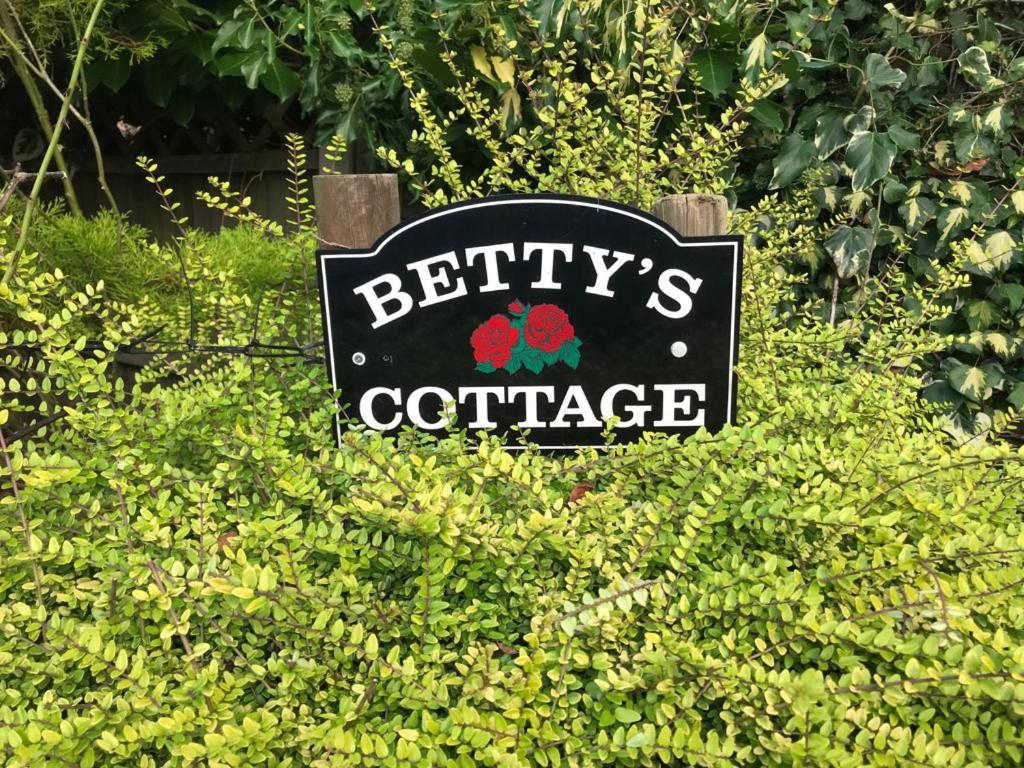 Betty'S Cottage - Traditional Norfolk Farm Cottage Swafield エクステリア 写真